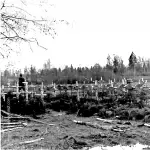 Regiments-Friedhof